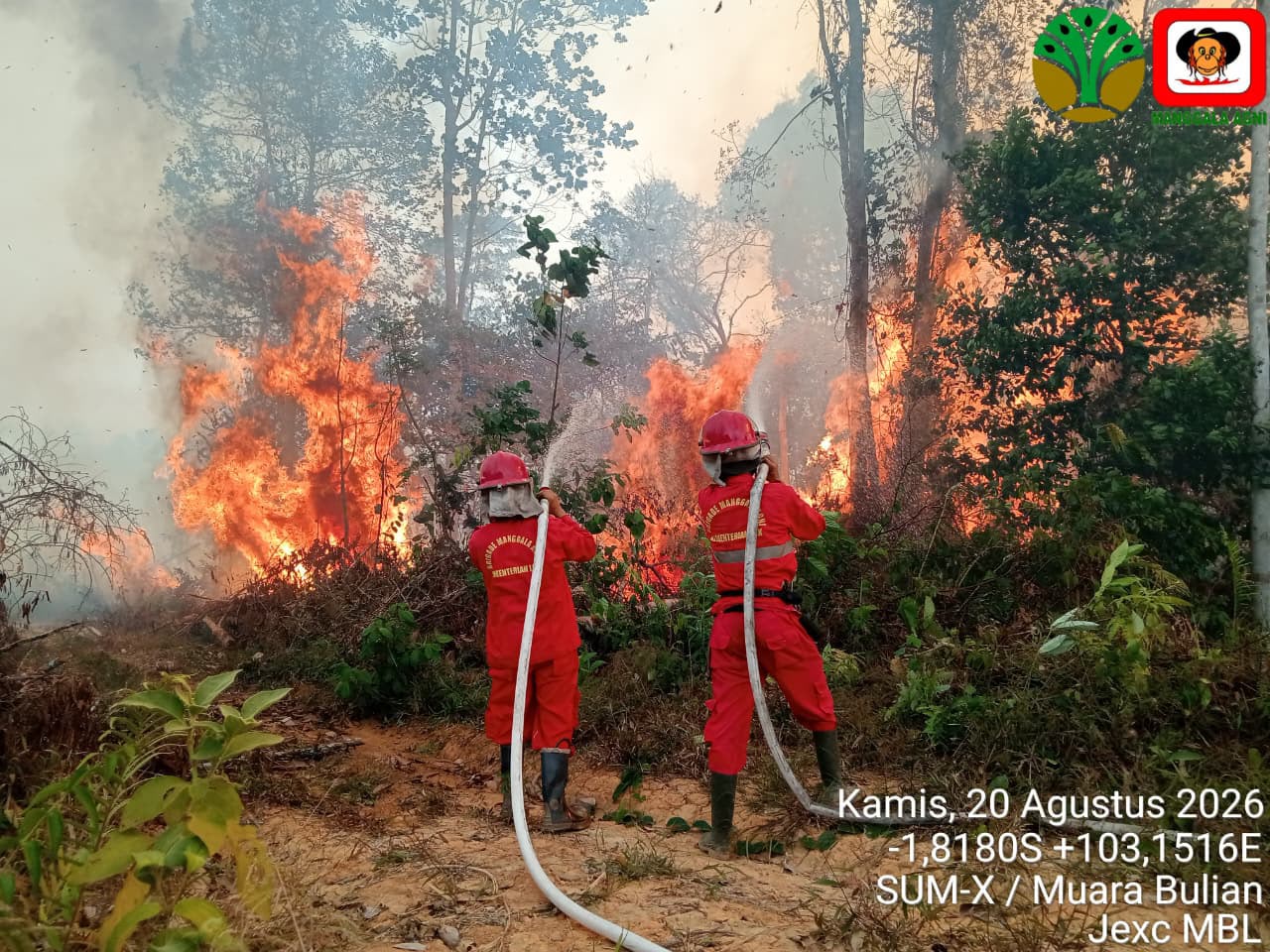 Gambar Konten Terkait